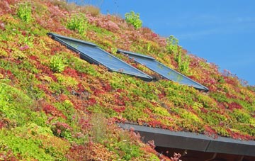 Killingworth Village living roof systems